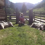 Simple Life Rauris