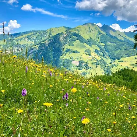 Simple Life Rauris