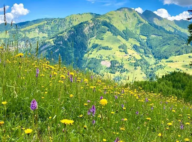 Simple Life Rauris