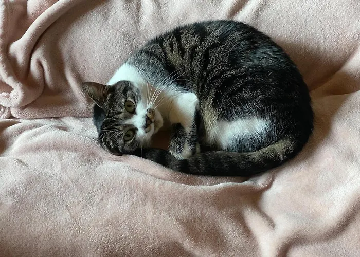 Simple Life 3* Rauris